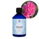 Trandafir de Damasc Organic